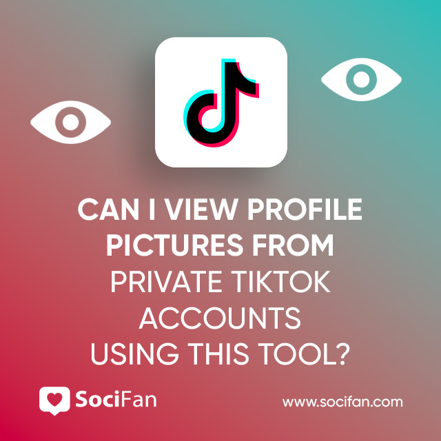 Can I View Profile Pictures From Private TikTok Accounts Using This Tool