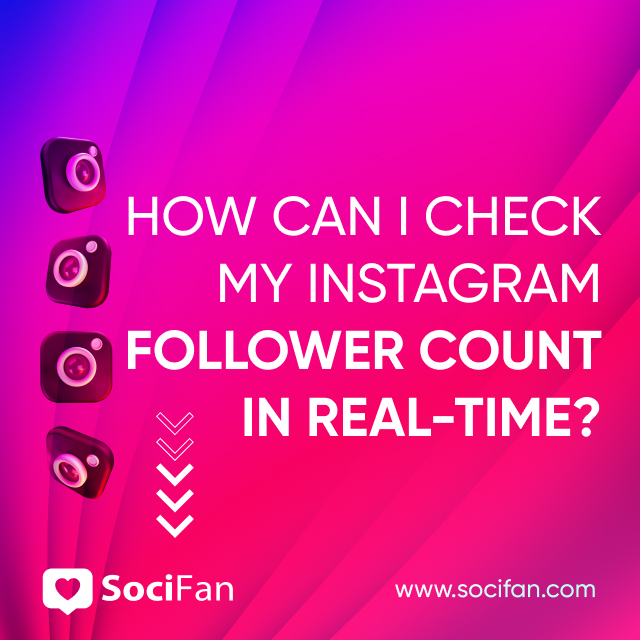 How Can I Check My Instagram Follower Count in Real-Time? 