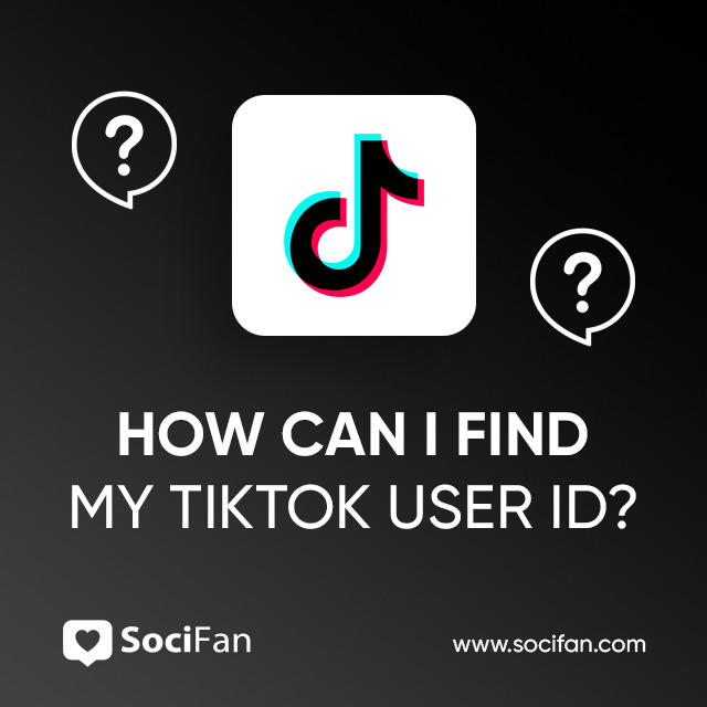 How Can I find My TikTok User ID