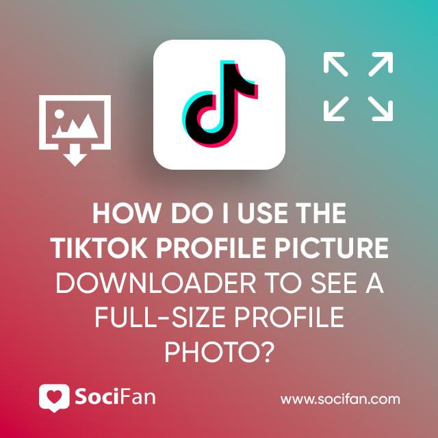 How Do I Use The TikTok Profile Picture Downloader To See A Full-Size Profile Photo