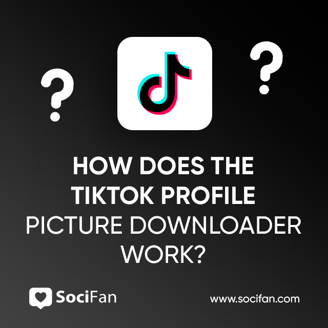 How Does The TikTok Profile Picture Downloader Work