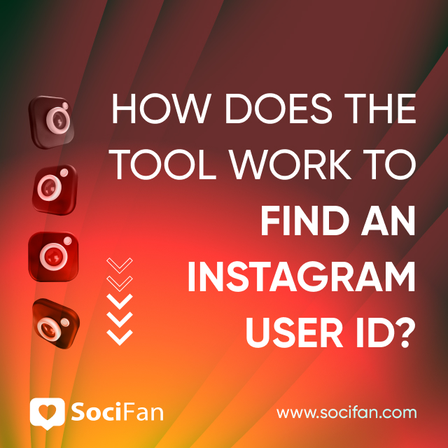 How Does the Tool Work to Find an Instagram User ID? 