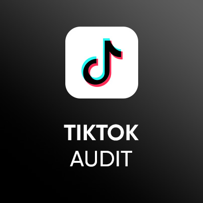 TikTok Audit