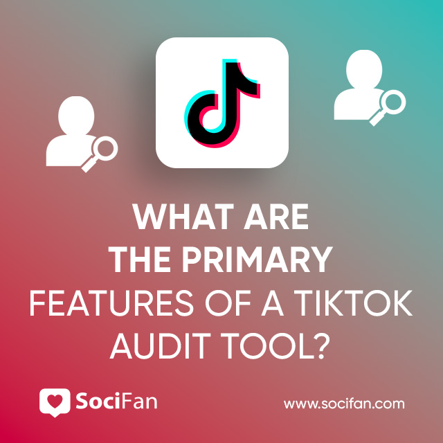 What Are the Primary Features of a TikTok Audit Tool