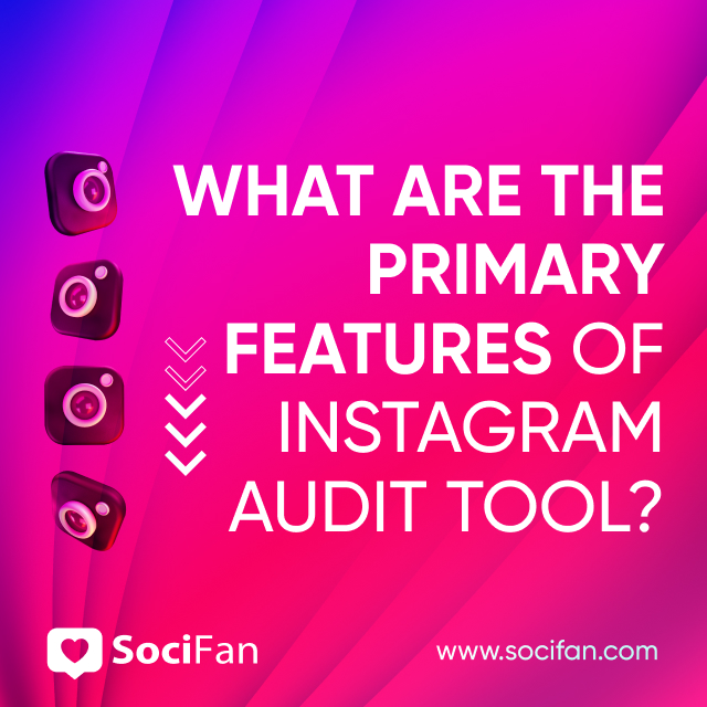 What Are the Primary Features of Instagram Audit Tool? 