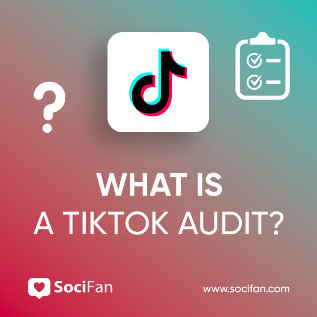 What Is a TikTok Audit