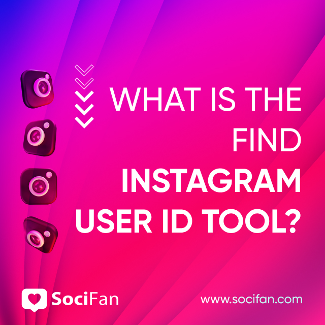 What Is the Find Instagram User ID Tool? 