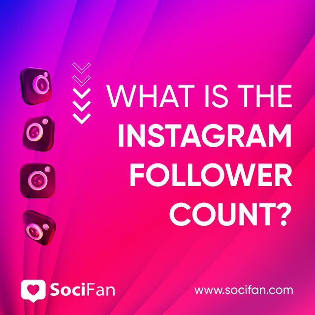 What Is the Instagram Follower Count? 