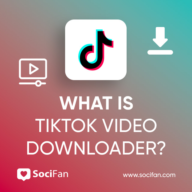 What Is TikTok Video Downloader?