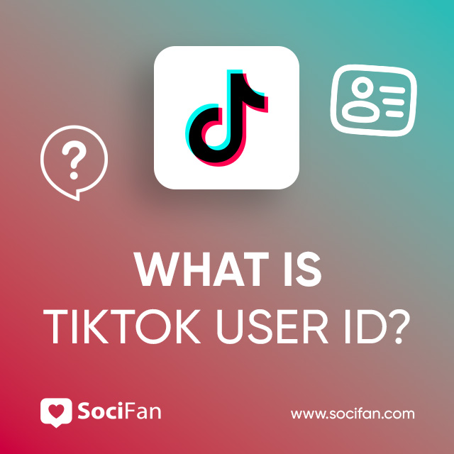 What Is TikTok User ID