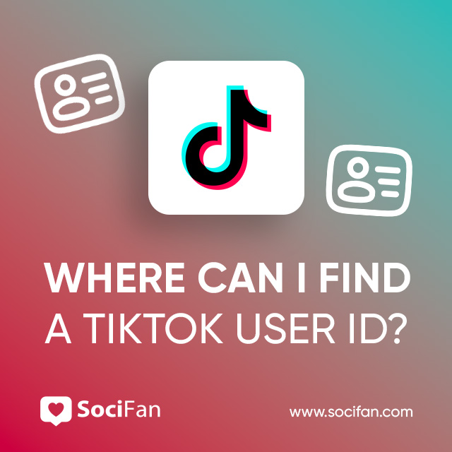 Where Can I Find a TikTok User ID